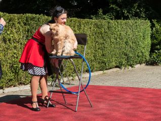 Rückblick auf das Nachbarschaftsfest