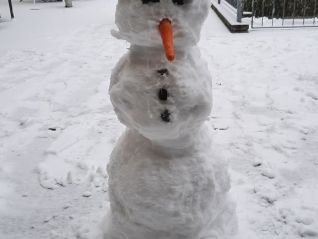 Der Schneemann